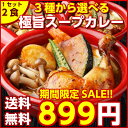 \タイムセール開催中!/【送料無料】3種から選べる北海道極旨スパイシー.スープカレー2食. (チキン・角煮・ホタテ)レトルトカレー スパイス 札幌 カレールー ...
