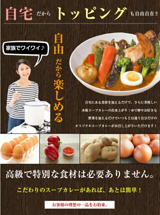 カレー/スープカレー【送料無料】北海道極旨スパイシー.スープカレー2食(やわらかチキン).【5％OFFクーポン発行中！】(カレーレトルトカレースパイスメール便札幌カレールーカレー粉ギフトご当地グルメ詰め合わせB級グルメ業務用カレーうどん素チキンカレー)【B】