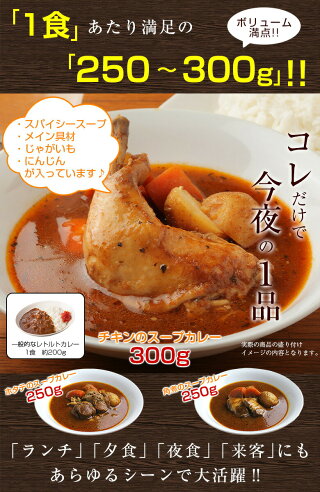 カレー/スープカレー【送料無料】北海道極旨スパイシー.スープカレー2食(やわらかチキン).【5％OFFクーポン発行中！】(カレーレトルトカレースパイスメール便札幌カレールーカレー粉ギフトご当地グルメ詰め合わせB級グルメ業務用カレーうどん素チキンカレー)【B】