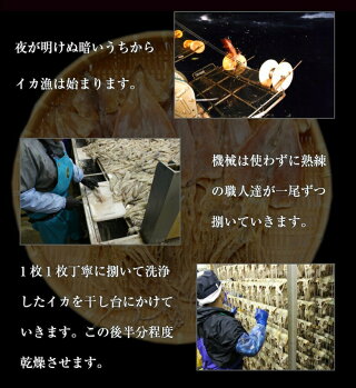 するめ/スルメ【送料無料】北海道産無添加朝獲り.するめ11枚〜7枚.ゲソ付き・新物【まとめ買いクーポン発行中!】(珍味詰め合わせおつまみセット乾物あたりめさきいか海産物酒の肴干物訳ありsurumeスルメ)低糖質ダイエット健康維持に!【A】