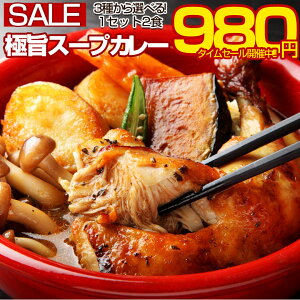 ＼タイムセール開催中!/送料無料 3種から選べる北海道極旨スパイシー.スープカレー2食. (チキン・角煮・ホタテ) スパイスカレー レトルトカレー 業務用 レトルト食品 常温保存 長期保存 食品 備蓄 応援 復興 ご当地 スパイス カレールー お取り寄せグルメ 詰め合わせ【B】