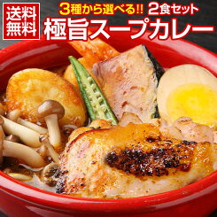 【エントリー必須※お買いものパンダカレー皿CP対象商品】 カレー レトルト【3種から選べる 北海道極旨スパイシー.スープカレー2食.】レトルトカレー スパイス スパイスカレー チキン 角煮 送料無料 食品【B】【★】