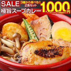 【最大半額以下タイムセール！26日10:00迄 1,000円ポッキリ！】 カレー レトルト【3種から選べる 北海道極旨スパイシー.スープカレー2食.】 レトルトカレー スパイス チキン スパイスカレー 角煮 スパイスカレーセット カレーセット 北海道 送料無料 食品 【B】 【★】