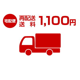 送料1100円