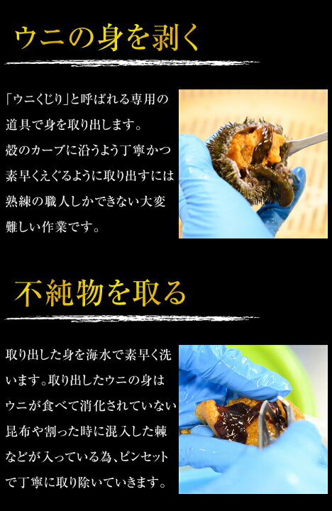 楽天市場】\最大半額クーポン!/ウニ 塩水 無添加 【北海道産.塩水生エゾバフンウニ100g.】うに 北海道 送料無料 セット 高級 詰め合わせ 雲丹 食品 海鮮 ギフト プレゼント お取り寄せグルメ 贈り物 生うに 生ウニ 塩水うに 塩水ウニ 【FF8】 : 北海道産直グルメ ぼーの 楽天市場】\最大半額クーポン!/ウニ 塩水 無添加 【北海道産.塩水生エゾバフンウニ100g.】うに 北海道 送料無料 セット 高級 詰め合わせ 雲丹 食品 海鮮 ギフト プレゼント お取り寄せグルメ 贈り物 生うに 生ウニ 塩水うに 塩水ウニ 【FF8】 : 北海道産直グルメ ぼーの