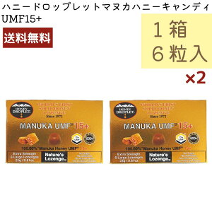 }kJnj[ LfB UMF15+ nj[hbvbg 6 2Zbg ݂͂ ̂ǈ 100% j[W[hY nj[Wp RH 