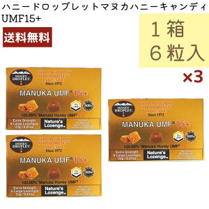 }kJnj[ LfB UMF15+ nj[hbvbg 6 3Zbg ݂͂ ̂ǈ 100% j[W[hY nj[Wp RH 