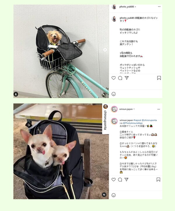 楽天市場 ペットキャリーバッグ リュック 猫 犬 キャリーリュックリュック おしゃれ ペットキャリー 折り畳み 自転車 カゴ リュック うさぎ 小型犬 ドライブ お出かけ 地震 防災 災害 避難 送料無料 新生活 Winsun ブリッジワールド