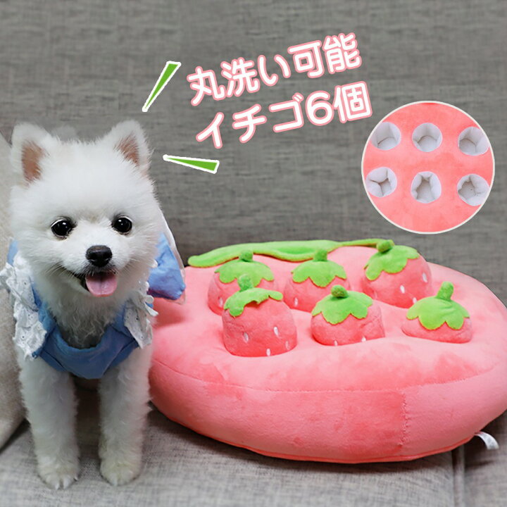 楽天市場 犬 知育おもちゃ おやつを入れる 丸洗い可能 運動不足解消 ストレス解消 犬 おもちゃ ノーズワーク 猫 犬 おもちゃ 知育玩具 運動不足 イチゴ6個セット ブリッジワールド