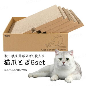 [܌5] L܂Ƃ Lpi{[ ߂Ƃ Lxbhp Lbgxbh L ܂Ƃ _{[ ^ XgX X Vѓ gȒP ʎg ^ 43×25×13CM 