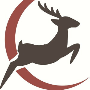 ANZT[ fB[X Y lbNX w O uXbg oO ANbg CO C[Jt `F[ wANbv u[`