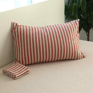 Jo[ yA Rbg ԕ 48cm 74cm 킢 vg w P[X