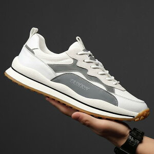 C Y 傫TCY v JWAV[Y ʋC Ȑ ~   tďH~