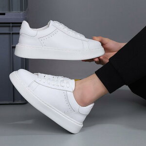 Y U[V[Y v JWAV[Y  Xj[J[ [Jbg amC EhgD RC zCg ϖՐ(x2)