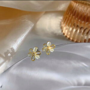 sAX fB[X p S[h LΕ Ot   ؚ 킢 GKg dCbLH(x2)