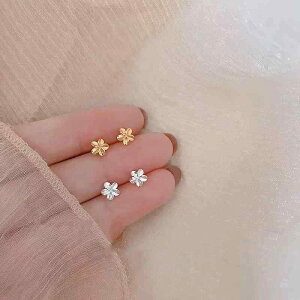 sAX fB[X  X^bhsAX Vv S[hJ[ Vo[J[   Ԃт ʋ(x2)