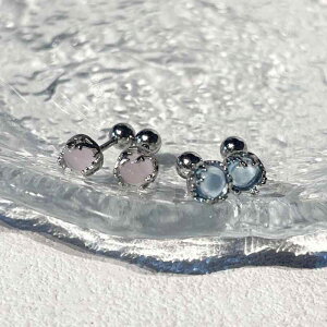 sAX fB[X XK[ 􉽊w u[ sN WRjA ˂   sAX C[Jt