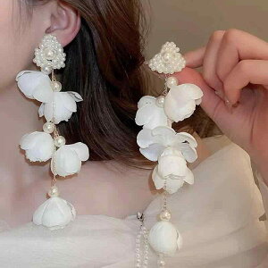 sAX fB[X p CO nhCh ԕ t[ p[ WRjA ^bZ hbvsAX  dCbLH I 킢 ANZT[