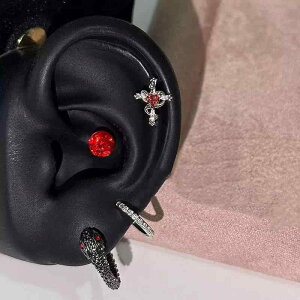 sAX fB[X bh WRjA Xl[N \ C[Jt `^| dCbLH 􉽊w͗l Aj}`[t h t