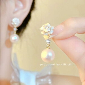 CO fB[X p ʋ  t[ ԕ p[ ^bZ 925Vo[ ^ C[Jt dCbLH  U 􉽊w͗l