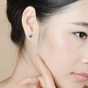 sAX fB[X s925 Vo[ ~̉ a WRjA  sAX AM[Ή X^bhsAX ԕ`[t CO Vo[ANZT[ ꗱ L[rbNWRjA(x2)