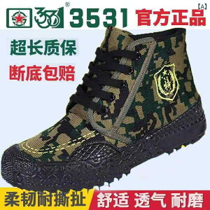 C Y k? ? h ϖ ʋC [NV[Y ƌC Xj[J[ ^C LoX ʕ [Jbg 3531 J[L ubNn