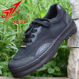 Xj[J[ jp AEghA oRC ϖ C [NV[Y ƌC ʕ [Jbg LoX S tH JWA