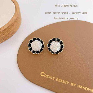 sAX fB[X s925Vo[j   t[ R JA ؍ 킢 GKg Be[W g dCbLH