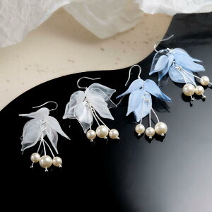 �C�������O ���f�B�[�X ���� �W���u���[ �t�����[ �^�b�Z�� �C���[�J�t �d�C���b�L���H ���� ���V �Â� �X�^�C�� �� ��