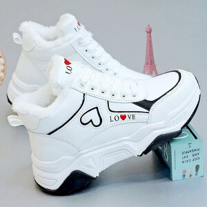 Xj[J[ fB[X H~ Xj[J[u[c  h  g N ^C ʊw [Jbg [XAbv  ubN O[ sNn