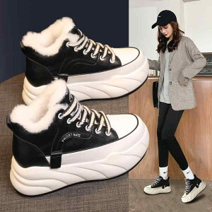 C fB[X [g  Xj[J[  ig  6cm 7cm  ubN  ItzCg ꂢ 킢 JWA