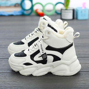 Xj[J[ fB[X  h {At ȌC H~ [Jbg EhgD R JWA ig ubN J[L