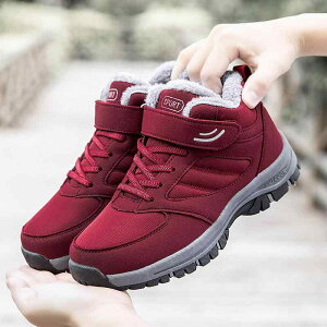 C fB[X Y  V[Y   h ~ ʃt@Xi[ EhgD XG[h ubN  p[v Cbh jp