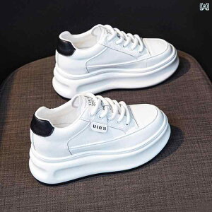 Xj[J[ fB[X  v Cq[ 6cm 7cm U[ EhgD [Jbg R tďH~ JWA 킢   x[W ₷ ig f[g