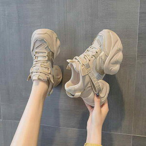 Xj[J[ fB[X  bV Cq[ 8cm R ǐF sNn   x[W y ʋC NbV ₷ JWA ig t