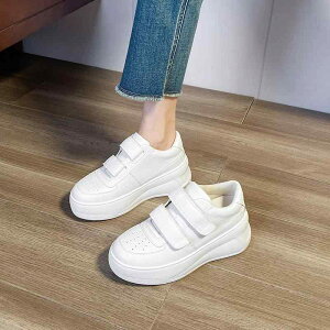 Xj[J[ fB[X  Cq[ ʃt@Xi[  [Jbg EhgD JWA X|[c ԕ n 6cm~8cm tďH~ zCg 22cm~245cm