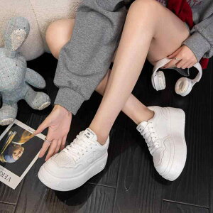 V[Y fB[X Xj[J[ v U[Xj[J[ JWAV[Y EhgD 6cmq[  H~  zCg L ig fC[