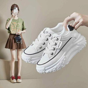 Xj[J[ fB[X  Cq[ JWA [Jbg [XAbv    H ig f[g