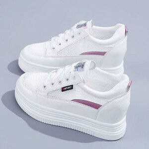 Xj[J[ fB[X  bV ʋC Cq[ [Jbg RC ^C JWA 킢 ig sNn Vo[ bh t H~