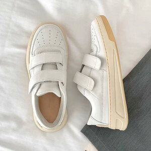 Xj[J[ fB[X  U[Xj[J[ _bhXj[J[ ^C RC  n EhgD [Jbg Ռz ~ JWA X^C 킢 t H~  zCgn