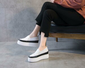 Xj[J[ fB[X v  Cq[ TCY  ubN  zCg tďH~ EhgD v q[ ₷ ɂ Xb|(x2)