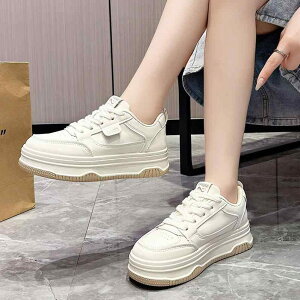 Xj[J[ fB[X  Xj[J[ t ؍ EhgD [XAbv wC JWA X|[c  