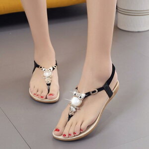 T_ fB[X {w~A L ӂ낤 r[Y ؂ tbg gO T_ r[`T_  ubN  ItzCg  u[  p[v  bh