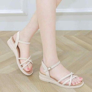 T_ fB[X  tbg\[ ~ r EhgD r[`T_ p C V[Y   t