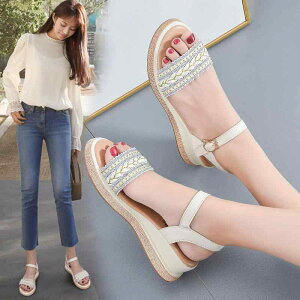 T_ fB[X TCY 傫TCY  EFbW\[ JWA zn EhgD h r   31 32 33 34 41 42 43 1252-Ĕ(x2)