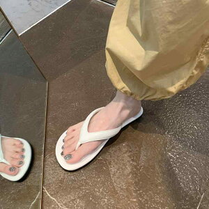 T_ fB[X r[`T_ gOT_ ɂȂɂ tbg ؂ ₷ y PUU[  n     ][g ig t