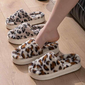 T_ fB[X qE t@[ Xbp [V[Y   ؂ EVA t H~ y ₷ ₷ ~  킢 JWA