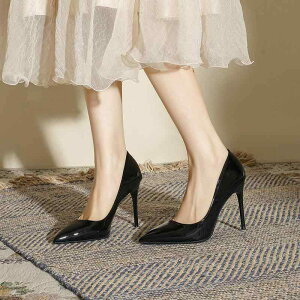 pvX fB[X |CebhgD sq[ Gi n nCq[ 10cm 8cm 6cm ubN  x[W TCY 傫TCY t H~(x2)