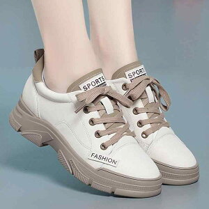 Xj[J[ fB[X  wlC [Jbg [XAbv EhgD v  ubN  AC{[ t H~