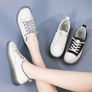 Xj[J[ fB[X  p JWA ^C pvX tbgV[Y wlC ؂񂱌C S ig ubN O[ AC{[